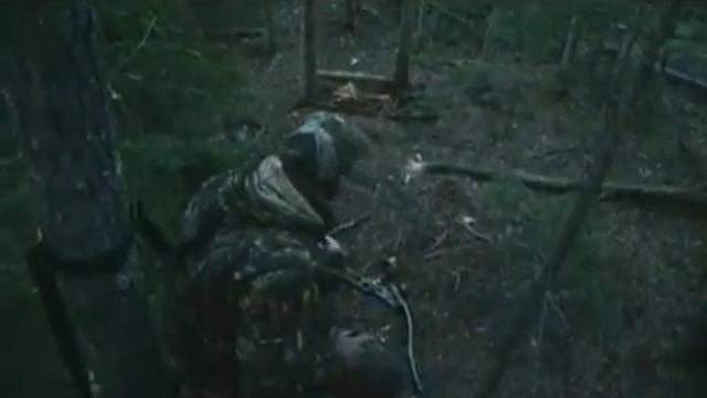 Охота на медведя барибала, часть 2-я. Лук. Охота в Новом Свете 42. смотреть онлайн