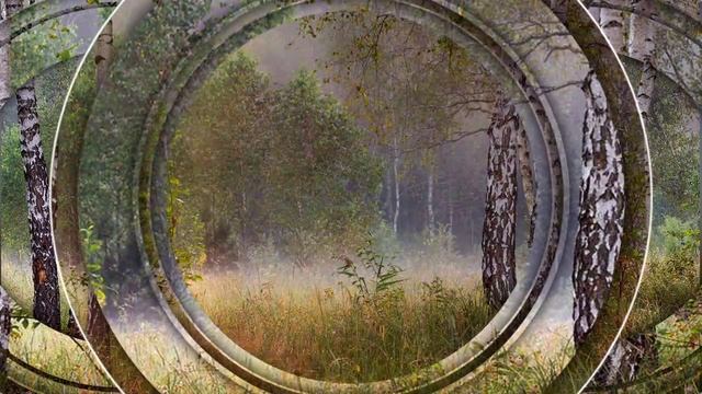 Моя Есенинская Русь. смотреть онлайн