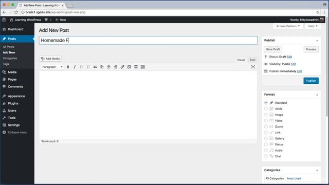 WordPress | 1. Blog Posts _ Categories смотреть онлайн