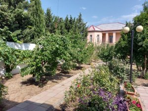 Баку, село Горадил, продаётся дача / baku azerbaijan houses for sale villa house in Goradil gardens