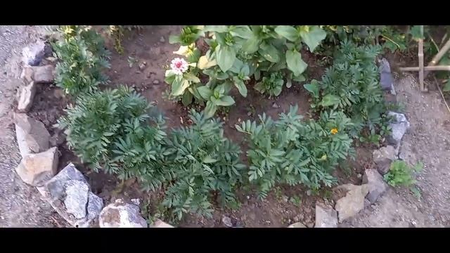 Всё УВОЛЬНЯЕМСЯ с РАБОТЫ и ПЕРЕЕЗЖАЕМ/ПОКАЗЫВАЕМ ВсЁ как ЕСТЬ/Мы СЧАСТЛИВЫ /МАТЬ ЗЕМЛЯ решает за НА смотреть онлайн