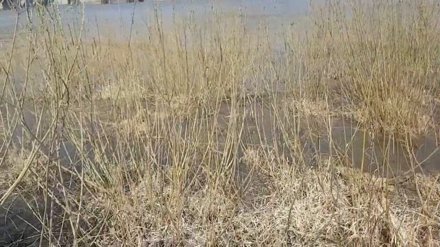 Город Кемерово!!!Рассказываю про Кемерово!!Обзор города!Поднялся на высоту.