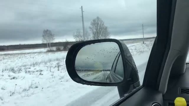 Еду с Обских плесов 7 ноября 2018 смотреть онлайн