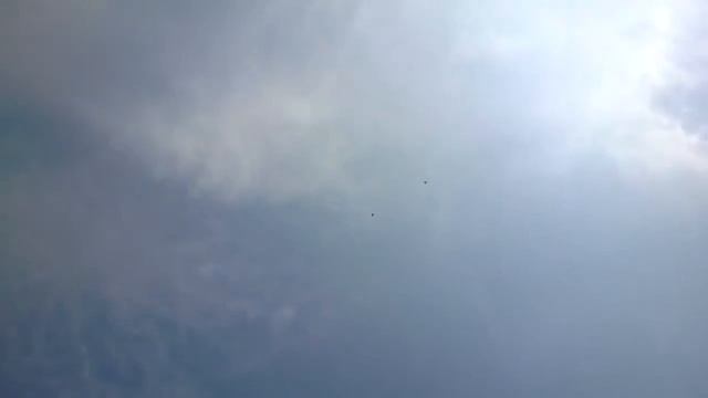 Бакинские голуби Валеры. Питер. смотреть онлайн