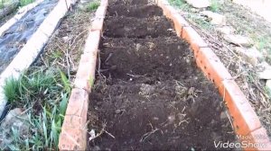 ИНТЕРЕСНЫЙ СПОСОБ ПОСАДКИ ЛУКА СЕВКА/СМЕШАНЫЕ ПОСАДКИ/ЛУК И МОРКОВЬ НА ОДНОЙ ГРЯДКЕ/ПОСЕВ МОРКОВИ.