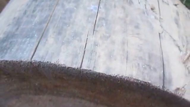 Синева на древесине бревен, бруса и пиломатериалов смотреть онлайн