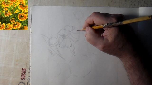 Курс скетчинга. Как рисовать цветы. Рисунки для срисовки смотреть онлайн