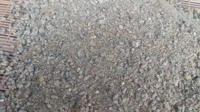 Добыча перги. Очень просто смотреть онлайн