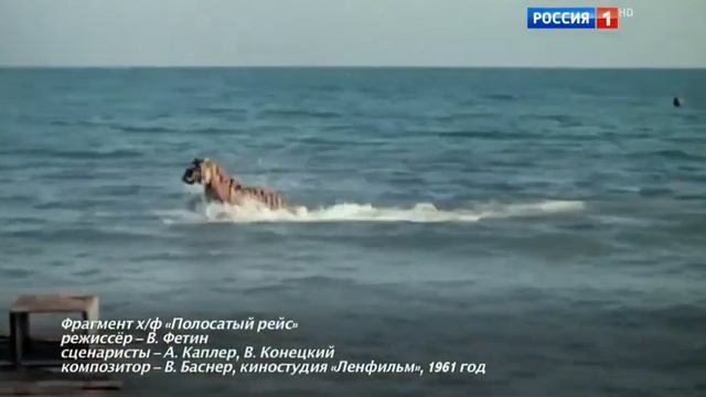 Король пляжа © Василий Лановой смотреть онлайн