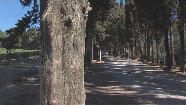 Mercedes Benz Viano Marco Polo footage driving scenes tuscany part 2 смотреть онлайн