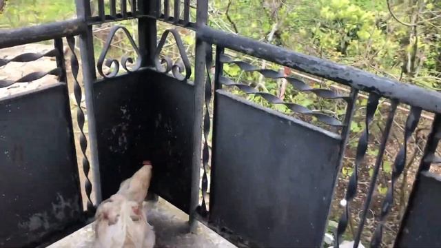 Спортивные Моменты и Экстрим-спорт