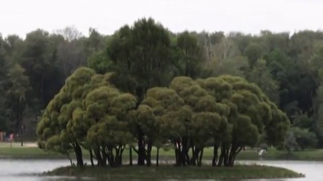 Царицынский парк 2010.mpg смотреть онлайн