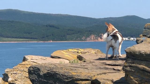 Прыжок с 11 метров в воду и путешествие Фунтика к м. Тобизина смотреть онлайн