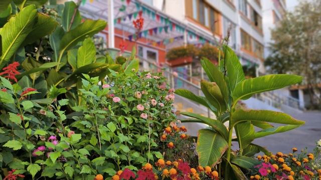 Песня - Осень проказница. (слова и музыка Т. БОКАЧ, исполняет Юлия Селиверстова) смотреть онлайн