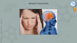 Химия 10 класс (Урок№7 - Фенолы и ароматические спирты.)