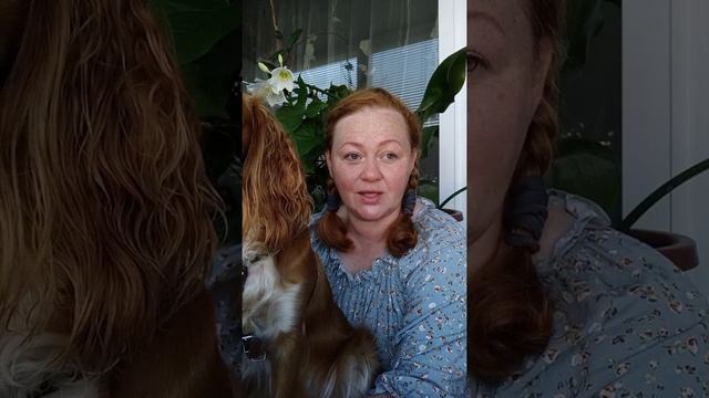 #11. Дневник ФаниМода. Этика и мораль жизненного цикла одежды.