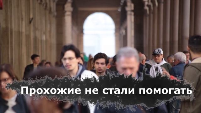 МЫ КРИЧАЛИ НО ЛЮДИ НЕ ПОМОГЛИ! Двух девочек спасла стая БРОДЯЧИХ СОБАК смотреть онлайн