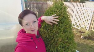 Видео привет с 6 соток 10 апреля 2023 года.