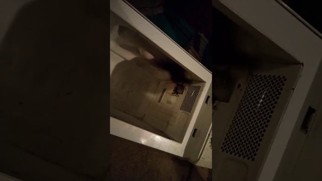 Микроволновая печь LG смотреть онлайн