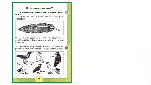 1кл.Окр мир.Рыбы,птицы,звери смотреть онлайн