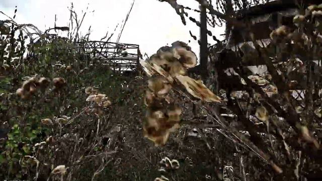 EFT Fight Штурмую Трех ЧВК в Здании смотреть онлайн