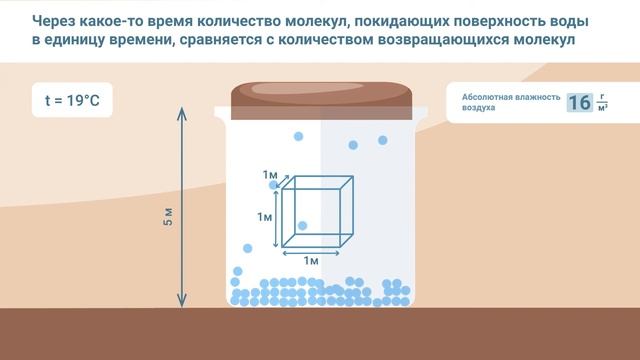 Абсолютная и относительная влажность воздуха смотреть онлайн