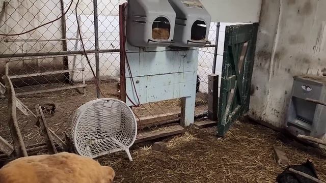 КАК Я ЗА НИМИ СОСКУЧИЛАСЬ смотреть онлайн