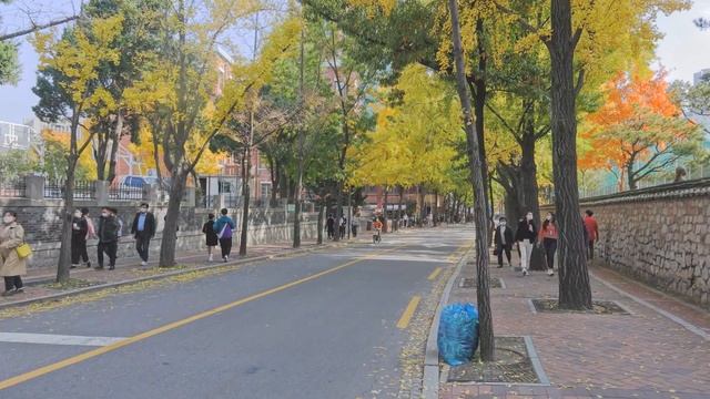 [4K] Colorful Seoul Walk - Gyeonghuigung, Donuimun Museum Village, Deoksugung Stonewall & Palace смотреть онлайн