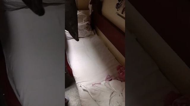 Поезд 465Ж, Астрахань-Волгоград -Имеретинский курорт, обзор плацкартного вагона, Вагон 1 смотреть онлайн