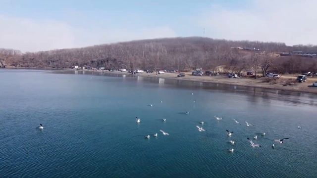 SUP-прогулка, бухта Парис смотреть онлайн