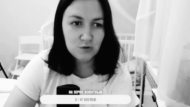 Деревенский дневник очень многодетной мамы. Обзор стрима. смотреть онлайн