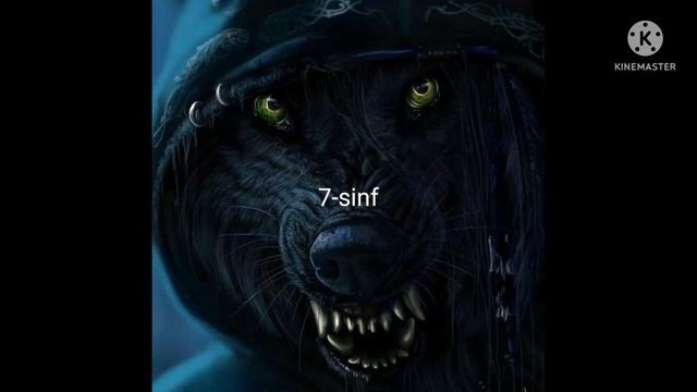 Qaysi Sinf Zõr