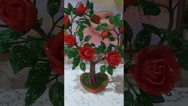 обзор дерева любви. VID 20240112 193131 смотреть онлайн