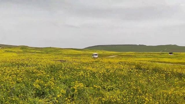 Поездка на Кояшское озеро. смотреть онлайн