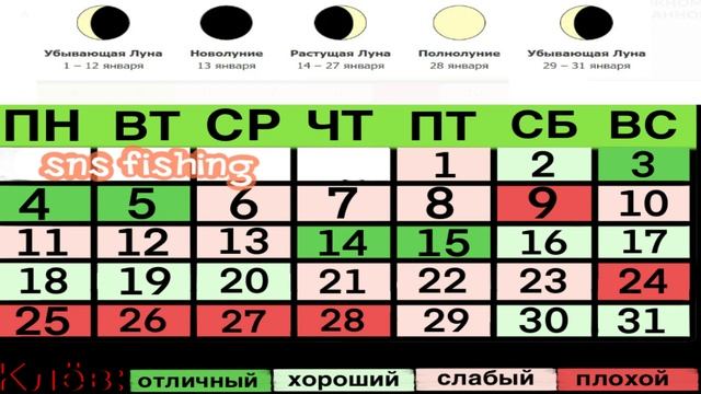 Календарь Рыбалова 2021на Январь Вторая половина Января каким будет клёв. Рыбалка в январе.