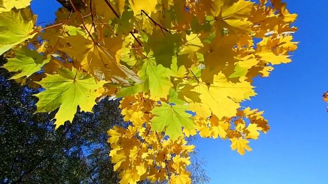 5 Октября день намяти Иона и Фоку.Народные приметы.Обряды. Ритуалы. Народный Календарь. смотреть онлайн