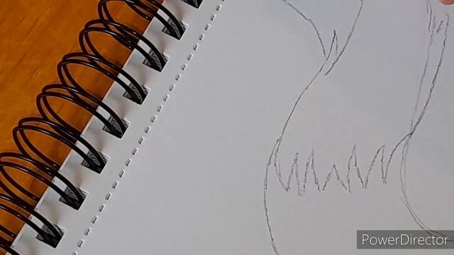 Classic Tails drawing - Speed Drawing. смотреть онлайн