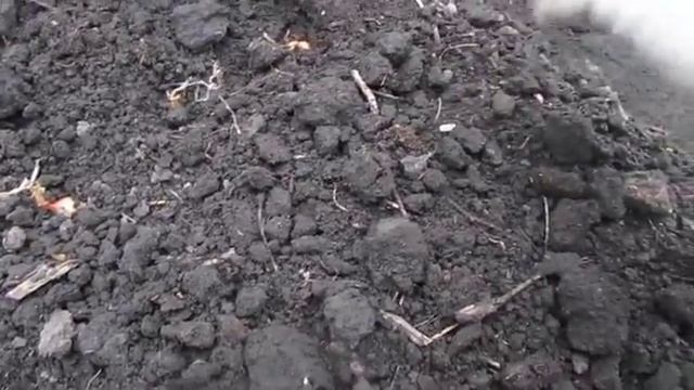 Как сажать лук смотреть онлайн