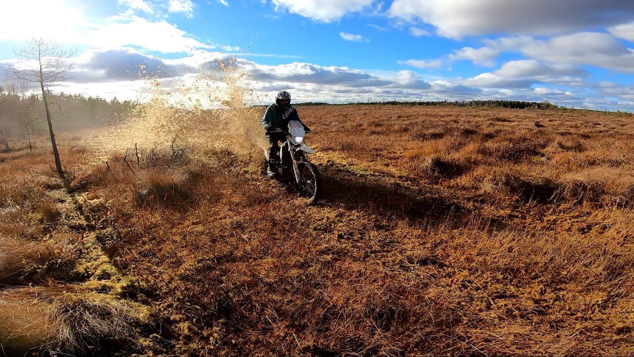 Болотный отжиг | Нашли молот Тора:) | Салат для Веганов | Много позитива!