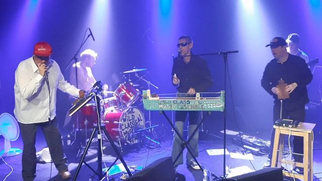 The Wild Classical Music Ensemble - live in Kortrijk 2022 - Showcase смотреть онлайн