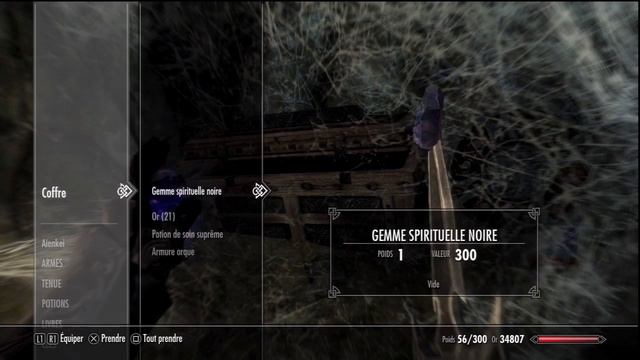 Let's Play Skyrim #08 | Jeux Video TESV - Aienkei