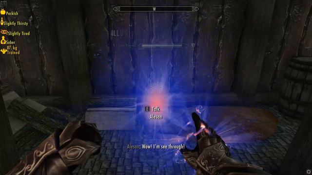 Skyrim - Finally making the annoying kid invisible (FOR REAL) смотреть онлайн