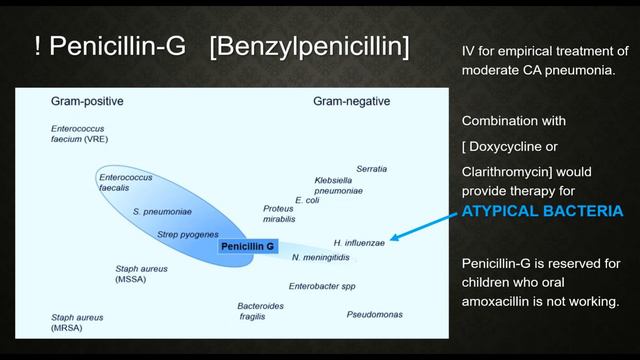 Pneumonia Lecture, Streptococcus Pneumoniae, Lung, Community Acquired, Medical, USMLE, Roze Pharm