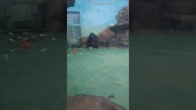 1 января 2024 г.(4) смотреть онлайн