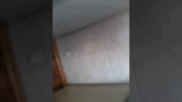 Сожрал говно (челлендж) очень отвратительно смотреть онлайн