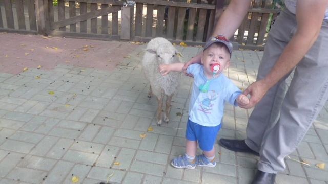 МИСТЕР АРТЁМ Life