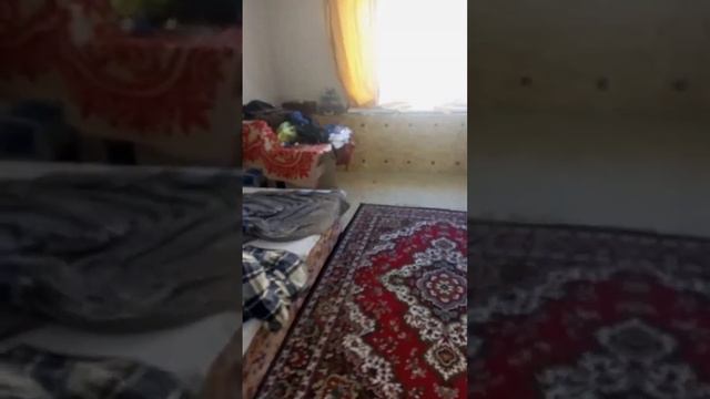 10 лет некто не жил начали делать ремонт смотреть онлайн