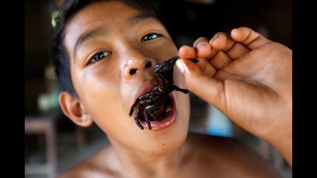 Паучиха которой я б вдул. смотреть онлайн