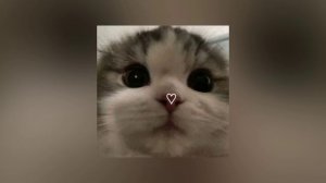 Самая самая (sped up)