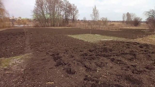 5 марта. Сажаем картошку😃 У Жульки творческий беспорядок) Заказала вакцины. Взбодрила чесночек. смотреть онлайн